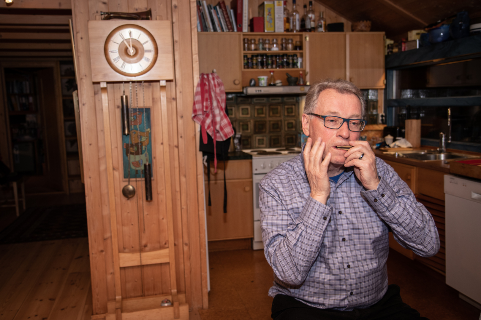 FOLKEMUSIKK OG -KULTUR: – Folk her er opptatt av historia, språket, folkemusikken, kulturen, arkitekturen – det er eit eige univers, seier Hallgrim Berg om menneska på Ål.